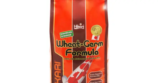 Nu rata Dieta usor de asimilat pentru pestii de iaz, HIKARI WHEAT GERM, MINI 100GR