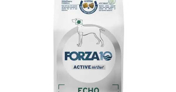 FORZA 10 ECHO ACTIVE KG Noutate