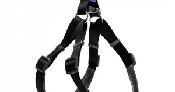 Ham ajustabil din nylon, negru, captusit, circumferinta piept 47-74 cm x latime 1.5 cm Reducere extra