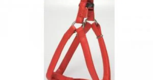 Ofertă exclusivă Ham ajustabil, rosu, din piele, 35-60 cm x 15 mm