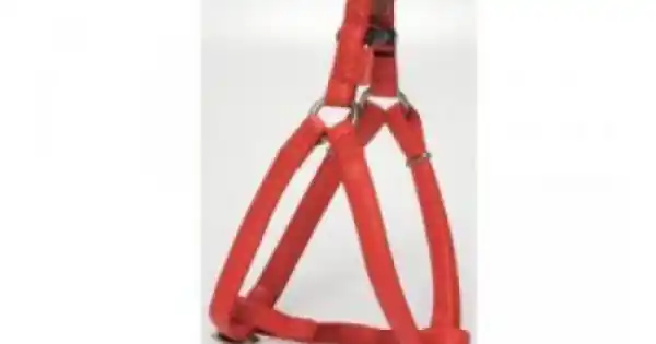 Ham ajustabil, rosu, din piele, 50-75 cm x 20 mm Expediere rapidă