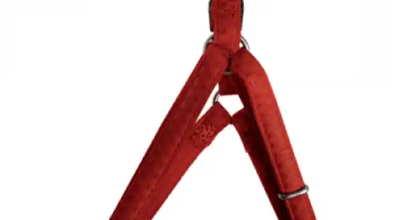 Ham ajustabil, rosu, din piele, cu inel metalic, circumferinta 40-57 cm x latime 15 mm Ultima șansă