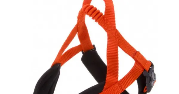 Ham confort, portocaliu, ergonomic, dimensiuni 52-56 cm Discount