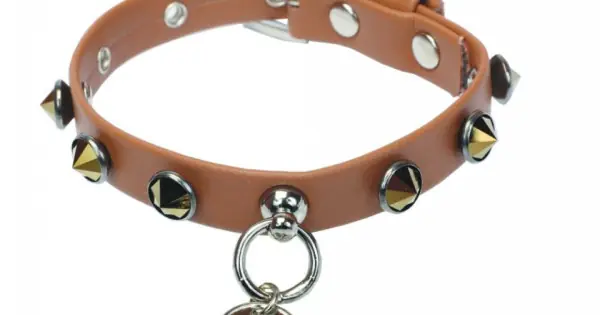 Ham din piele ecologica, maro, decorat cu capse din cristale Swarovski, gat 26 cm x piept 31-35 cm Reducere