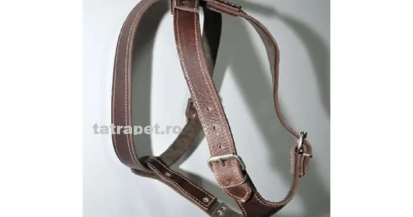 Reducere specială Ham din piele, maro, reglabil, 85-95 cm