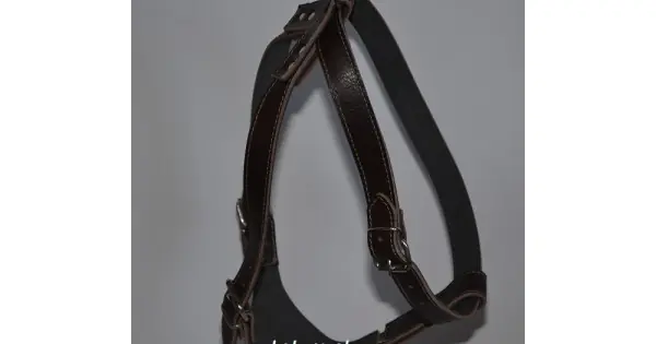 Cel mai vândut Ham din piele, negru, reglabil, 85-95 cm