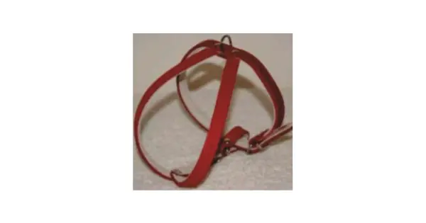 Ham din piele, rosu, reglabil, 43-53 cm Preț mic