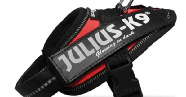 Preț promoțional Ham ergonomic K9 Power Baby, rosu, impermeabil, reflectorizant, 33-45 cm