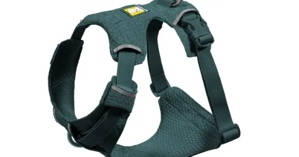 Chilipir Ham Front Range Flex Ruffwear - S - Deep Teal