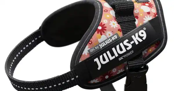 Cel mai bun preț Ham JK9 IDC Power - XS - Pink Flowers