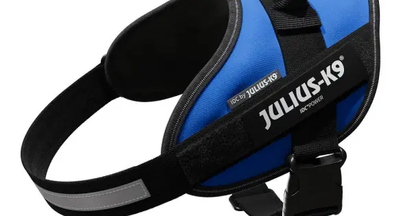 Ham JK9 IDC Power M, albastru, respirabil, cu elemente reflectorizante, circumferința piept 58-76 cm, pentru câini cu greutate de 14-25 kg Comandă acum