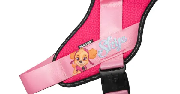 Expediere rapidă Ham JK9 IDC Power PAW Patrol, roz, reglabil, cu elemente reflectorizante, circumferința piept 71-96 cm
