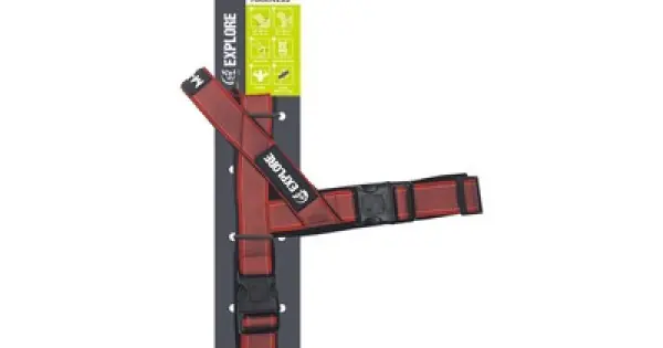 Bestseller Ham pentru caini, rosu, durabil, reglabil, S, 2 cm x 38-45 cm, 2 cm x 32-38 cm