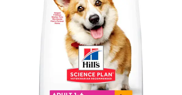 Hills SP CANINE ADULT S&M CHK, hrana uscata pentru caini adulti de talie mica si mini, cu pui, 3 KG Cumpără acum