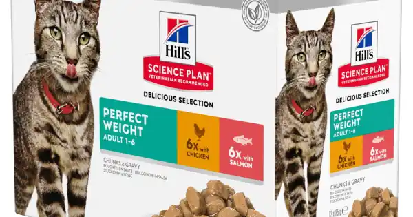 Cel mai vândut Hills SP FELINE ADULT PERFECT WEIGHT CHK&SALMON 12x85 G (PLICURI)