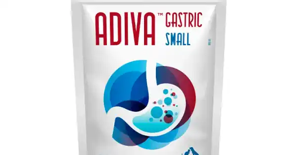 Popular Hrana complementara, protectie gastrica completa, ADIVA® Gastric Chews Small, VetNova, 30 chews