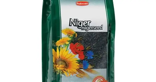 Hrana pasari Padovan Niger 850 gr Noutate