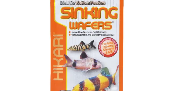 Hrana pentru pesti care se hranesc de pe fundul apei, Corydoras, HIKARI SINKING WAFERS, 50g Reducere extra