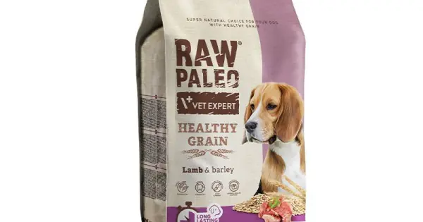 Hrana uscata pentru caini adulti, RAW PALEO HEALTHY GRAIN, miel, 10 kg Cumpără acum