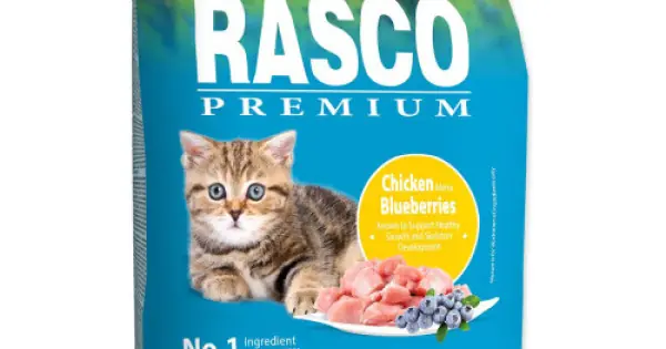 Hrana uscata pentru pisici Rasco Premium Kitten Pui&Afine 2 kg Livrare expres