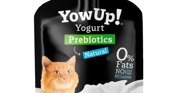 Iaurt natural pentru pisici 85 gr Ofertă exclusivă