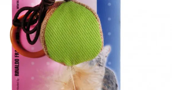 Jucarie cu elastic pentru pisica Comandă acum