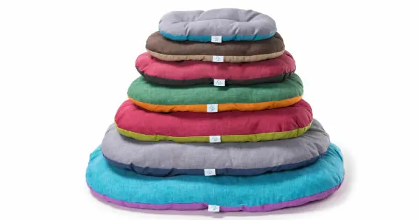 Cel mai vândut Leopet Culcus Nettuno Mix Colours