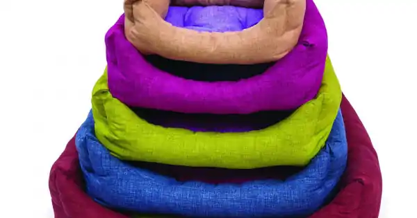 Leopet Culcus Rodi Mix Colours Nu rata