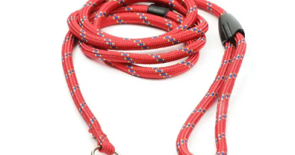 Lesa din nylon, rosie, antiderapanta, lungime 1.7 m, pentru caini cu greutate de pana la 25 kg Ofertă specială