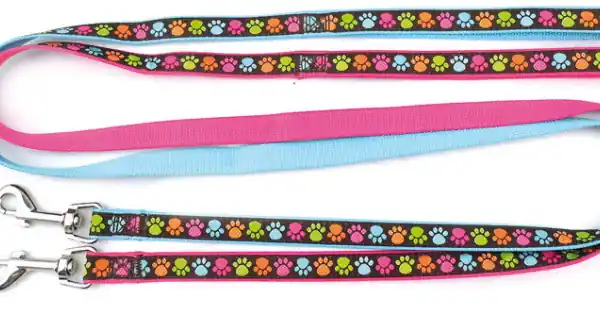 Lesa nylon, albastra, rezistenta, lungime 120 cm, latime 1.6 cm, pentru caini de talie mica Cumpără acum