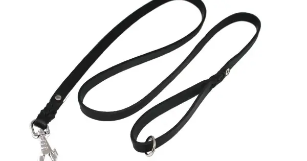 Lesa piele Gappay - 1.5mx1.8cm Reducere specială