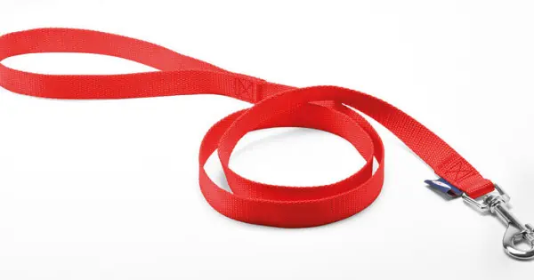 Lesa simpla din nylon, rosie, ideala pentru plimbarile zilnice, lungime 100 cm, pentru caini de talie mica, latime 1 cm Ofertă specială