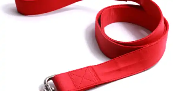 Lesa textila, rosie, realizata din nylon, lungime 1.2 m, latime 3.2 cm Plată sigură