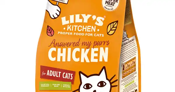 Lily‘s Kitchen Cat Adult Chicken Casserole 800 g Popular