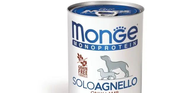 Monge Monoprotein Pate - Hrana umeda super-premium - Miel - 400g Lichidare de stoc