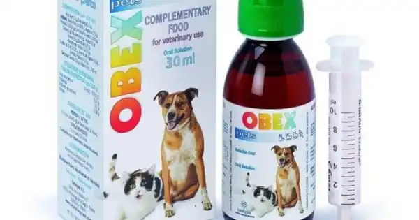 OBEX Pets, Catalysis, 150 ml Noutate
