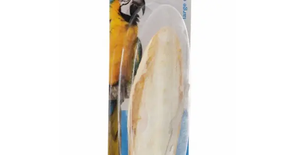 Os sepie 20 - 22 cm XXL Livrare expres