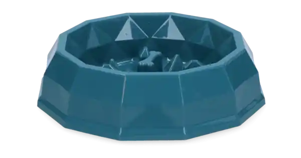 Vezi acum Pawise Slow Feeding Bowl