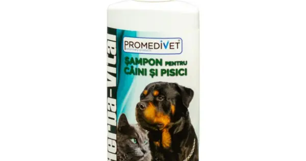 Ofertă specială Sampon herba-vital C+P 200ml