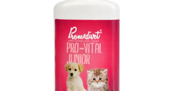 Sampon Pro Vital Junior/germeni de grau 200 ml Ofertă specială
