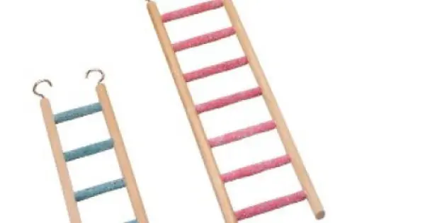 Scarita 5 Trepte Abrazive Chilipir
