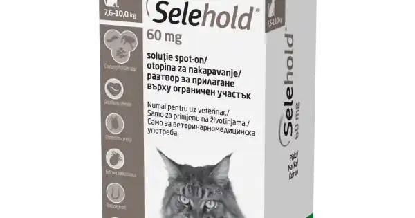 Selehold Spot On pentru Pisica 3 Pipete Chilipir