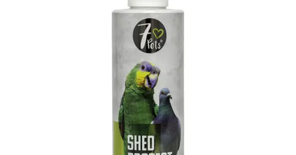 Ieftin Shed protect 200ml