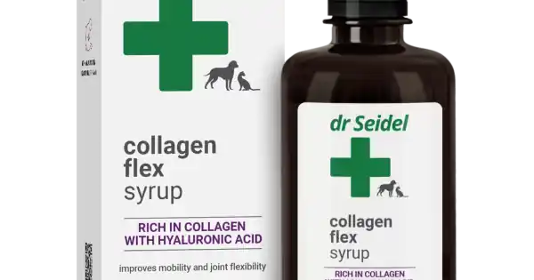 Reduceri Sirop pentru susținerea mobilității și flexibilității articulațiilor, Dr. Seidel COLLAGEN FLEX SYRUP, 250 ml