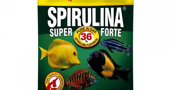 Ieftin SPIRULINA FORTE Tropical Fish, 36%, 12g