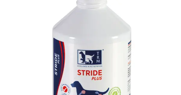 STRIDE PLUS CANINE 500 ML Promoție