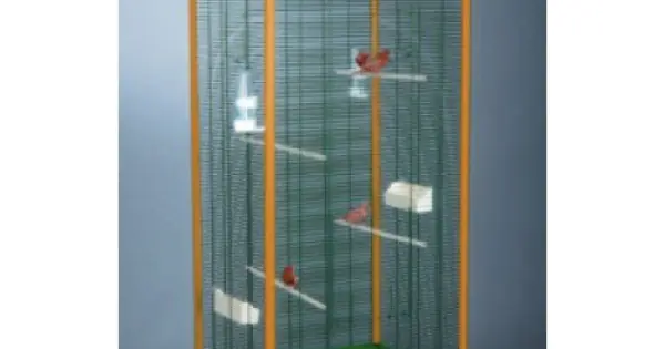 Voliera Lobelia Cumpărături sigure