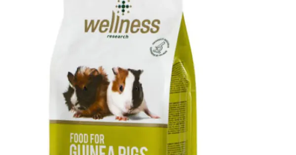 Wellness G-Pig 1 kg Premium