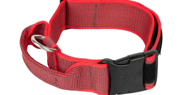 Zgarda caini Julius K-9, rosie, reglabila, cu maner, 38-53 cm x 4 cm Vezi acum