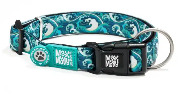 Zgarda Max & Molly Smart ID - S - Storm Disponibil imediat